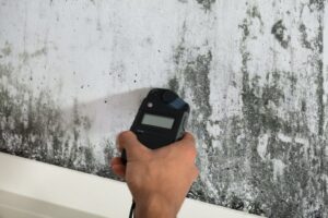 Mold testing and removal Ottawa